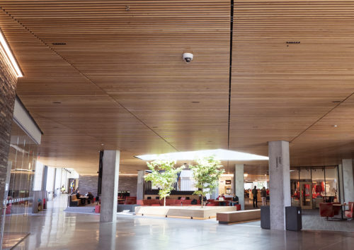Minnehaha Academy Brings Nature Indoors with ASI Architectural
