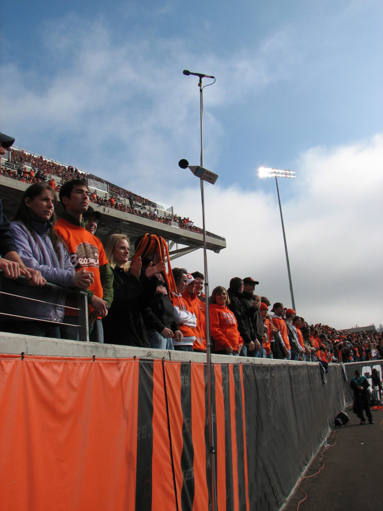 DPA 4091 microphones placed around the stadiums - Sonofans