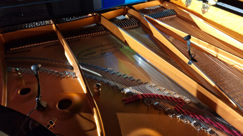 DPA Meets the Versatile Needs of Sound Engineer Phil Wright