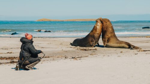 Ellie Williams Answers the Call of the Wild With DPA Microphones Lavaliers