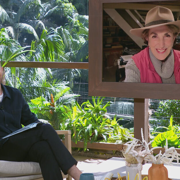 QuickLink StudioEdge Transforms Remote Contributions for ITV Studios’ “I’m a Celebrity: Unpacked”